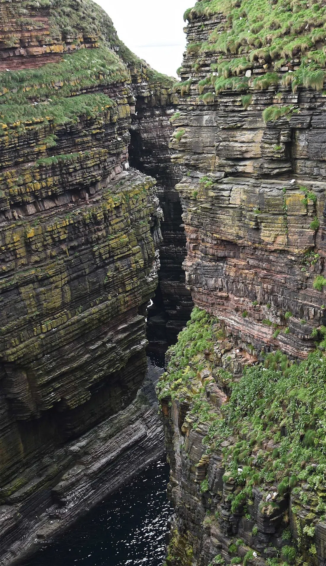 Geowalks (Dr Angus Miller), Edinburgh